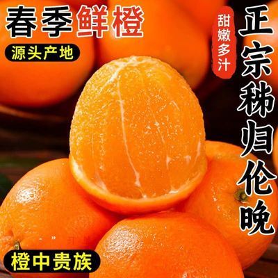 5斤新鲜脐橙当季正宗高山薄皮橙子水果批发秭归春橙伦晚脐橙宜昌