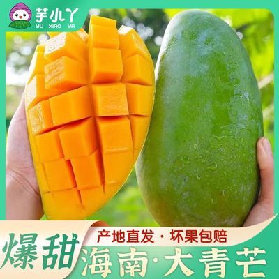 ���ڲ����������䡿��СѾ���ں��ϴ���âӦ�����ȴ�����ˮ����Ƥ��â�� 17.8Ԫ