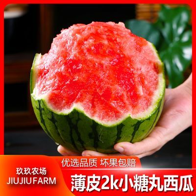 ���ڲ�����������ũ����2KС�������ϰ������ʱ�Ƥȫ����˺С���ϵ���ˮ�� 13.4Ԫ