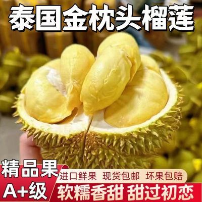 【正宗金枕】泰国正宗进口榴莲带壳一整个新鲜应急水果整箱批发