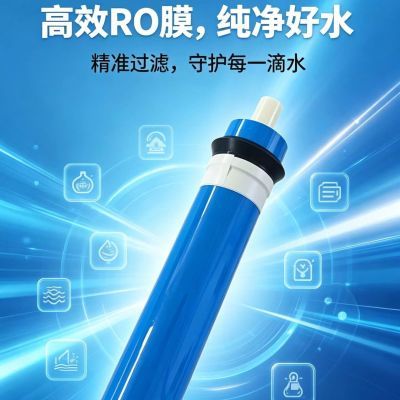 高效脱盐通用净水滤芯3012/3013