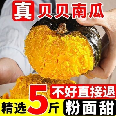 正宗真贝贝南瓜板栗味小南瓜婴儿辅食老南瓜粉糯香甜