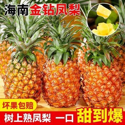 【树上熟】正宗海南金钻凤梨皮薄多汁孕妇新鲜应季水果整箱包邮