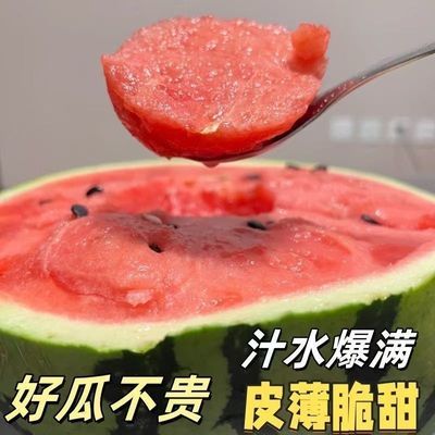 正宗麒麟西瓜8424冰糖新鲜应季黑籽薄皮现摘有籽整箱水果