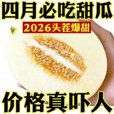 【爆甜】现摘应季阎良甜瓜甜蜜瓜脆瓜香瓜当季孕妇水果整箱批发