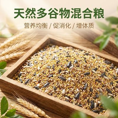 自制天然多谷物混合粮虎皮大头牡丹旋风鹦鹉鸡蛋米繁殖汇合粮