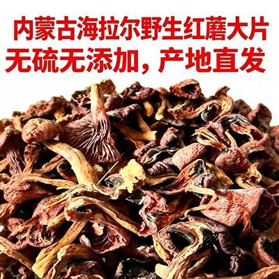 海拉尔野生红蘑黑头大片干货自然晒深山采摘煲汤炖鸡食材产地直发