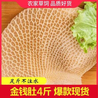 新鲜精品金钱肚牛肚蜂窝半成品牛肚子冷冻商用火锅食材清水煮牛肚
