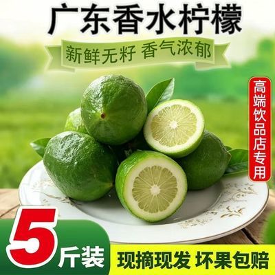 正宗香水柠檬一级果奶茶店广东新鲜现摘现发无籽香柠檬包邮鲜柠檬
