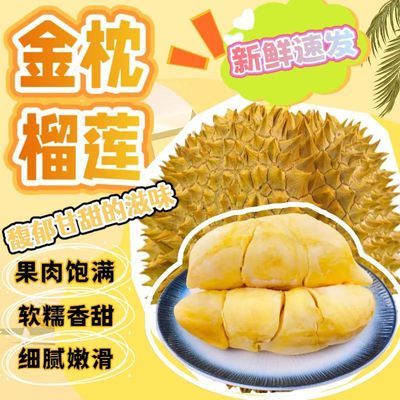 【现货速发】泰国进口金枕头榴莲新鲜带壳大果香甜带皮鲜果批发价