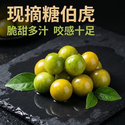 寿光产地直发新鲜现摘糖伯虎小番茄圣女果鲜甜多汁当季便宜