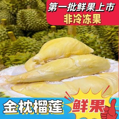 【小董甄选】泰国金枕头榴莲新鲜水果一整个新鲜带壳榴莲榴莲金果