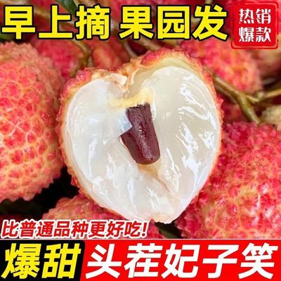 【精品】新鲜妃子笑荔枝当季水果应季现摘荔枝广东海南白糖罂桂味【30天内发货】