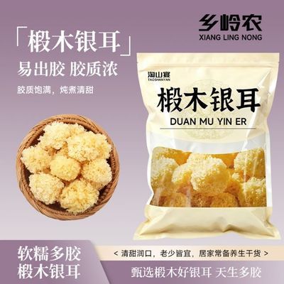 净重椴木小银耳新货软糯多胶胶质多古田小朵白木耳糯银耳羹