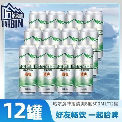 低价清仓哈尔滨清爽啤酒500ml大罐清爽甘洌烧烤搭子500ml*12罐/箱