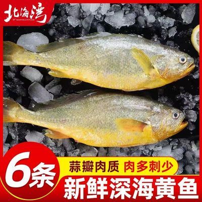 ���ڲ�����������������ƻ����������ں������㺣���ٶ��������������� 63.3Ԫ