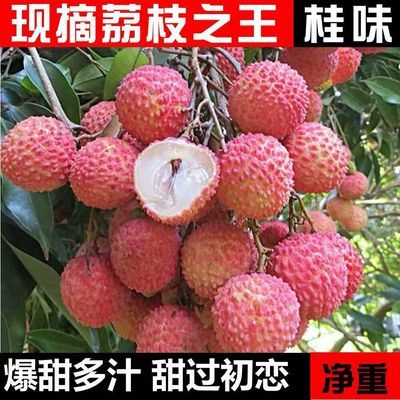 【冷链到家】新鲜妃子笑荔枝当季水果应季现摘荔枝白糖罂非桂味【30天内发货】