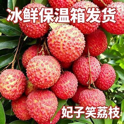 【全程冷链】现摘新鲜荔枝妃子笑当季荔枝新鲜水果桂味黑叶白糖罂【30天内发货】