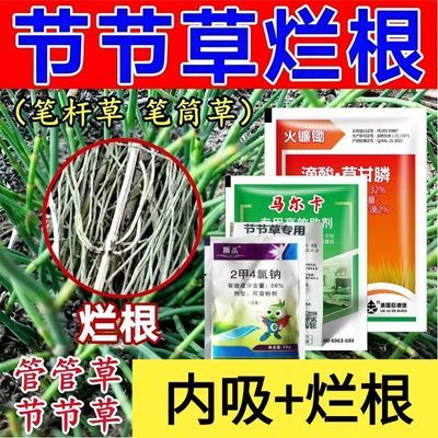 节节草除草剂四合一节节草克星2甲4氯钠草甘膦死根烂根强力除草剂