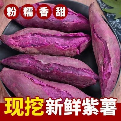 软糯新鲜紫薯紫罗兰现挖正宗沙地番薯香甜红薯蜜薯地瓜板栗蔬菜