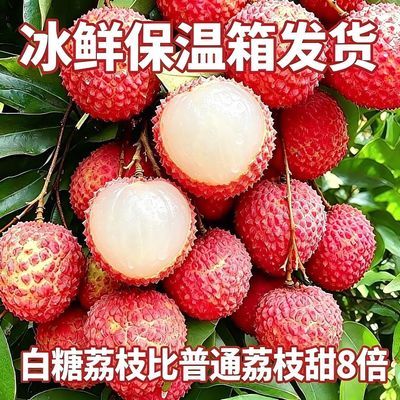 精品】新鲜妃子笑荔枝当季水果应季现摘荔枝广东海南白糖罂桂味【30天内发货】