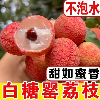 【正宗】2026头茬桂味妃子笑荔枝新鲜水果当季时令爆甜多仓【30天内发货】