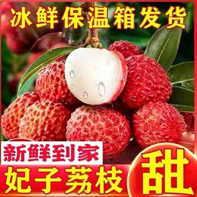 【纯甜】2026头茬桂味妃子笑荔枝新鲜水果当季时令爆甜多仓【30天内发货】
