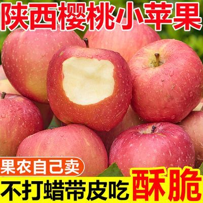正宗陕西樱桃小苹果酥脆应季富士苹果当季一整箱新鲜苹果水果批发