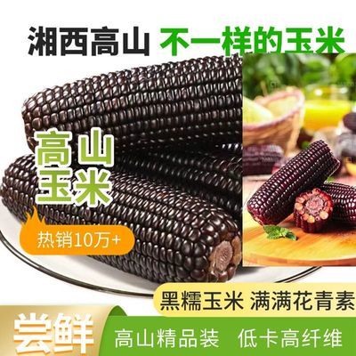 东北黑糯玉米棒现摘锁鲜 软糯拉丝黑玉米 健康粗粮即食代餐整箱