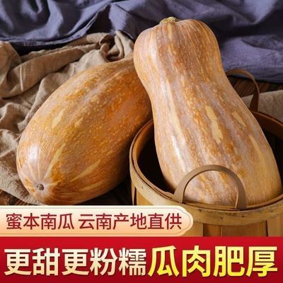 9斤蜜本老南瓜农家自种当季新鲜粉面甜糯南瓜辅食蜜本南瓜整箱