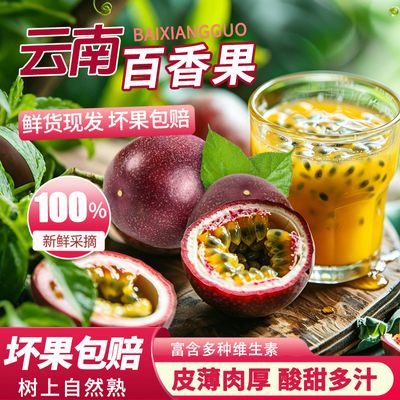 云南特产紫皮百香果西番莲孕妇水果新鲜现摘酸甜多汁丰富维c泡酒