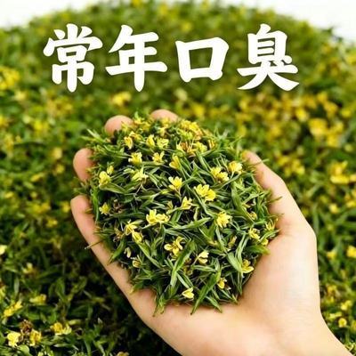 【严重口臭】张嘴滂臭口臭口干口苦非口腔清新剂正品清新调理贴