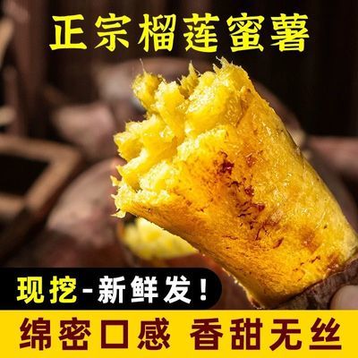 2026头茬正品云南榴莲蜜薯正宗丝滑玛莎莉红薯香甜软糯新鲜现挖