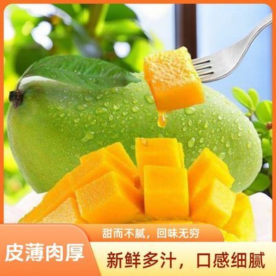 头茬正宗云南大青芒金煌芒薄皮新鲜应季孕妇水果即食甜而不腻香甜