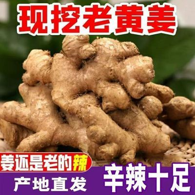 5斤正宗小黄姜老姜生姜批发正宗贵州小黄姜老姜头月子姜新鲜姜块