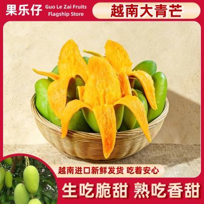 【新客立减】正宗越南大青芒生熟两吃新鲜水果芒果包邮批发当季