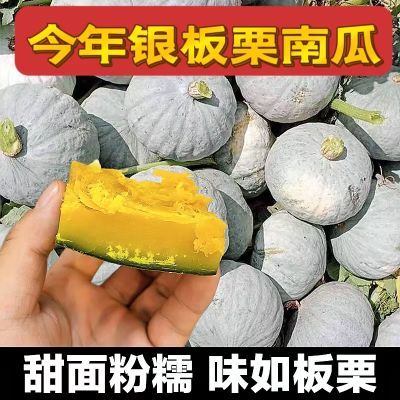 5斤正宗银栗板栗南瓜新鲜整箱宝宝辅食香粉糯老南瓜板栗味批发