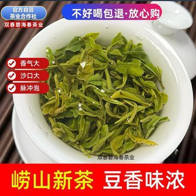 【正宗豌豆香】2026崂山新茶崂山绿茶春茶浓香型耐泡青岛特产嫩芽