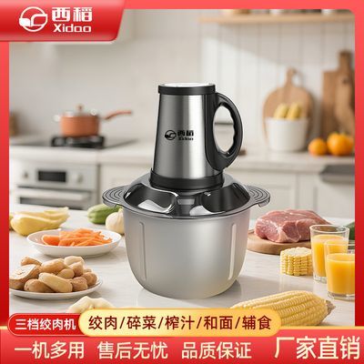 德国正品不锈钢家用绞肉机多功能厨房料理蒜泥辣椒绞肉机家用款