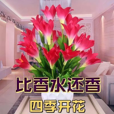 【新春爆款】新品盆栽花卉十里飘香懒人清香玉球根耐寒四季开花