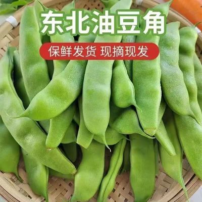 正宗东北四平梨树九月青油豆角农家自种当天采摘开锅就烂