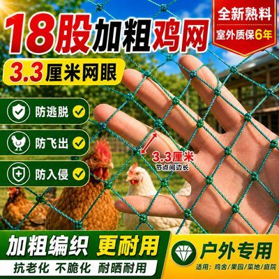 18股加粗养鸡网养殖网防鸟网围网鸡青蛙网天网养鸡围栏网养鸡耐用
