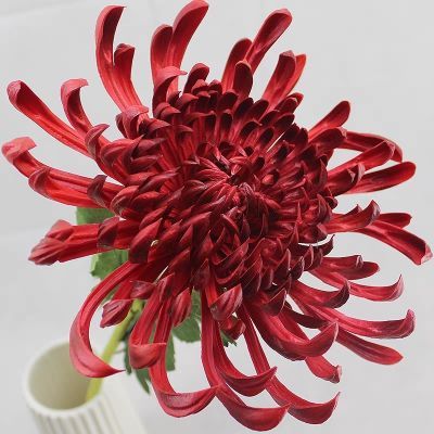 PU蟹爪菊干花泡沫永不凋谢客厅餐桌ins风手工仿真花