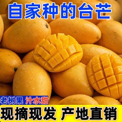 【精选】云南小台农芒芒果当季新鲜水果台农芒果薄皮整箱水果时令