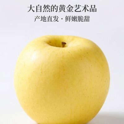 辽宁黄元帅新鲜水果黄金香蕉采摘粉面苹果宝宝整箱刮泥当季酸甜