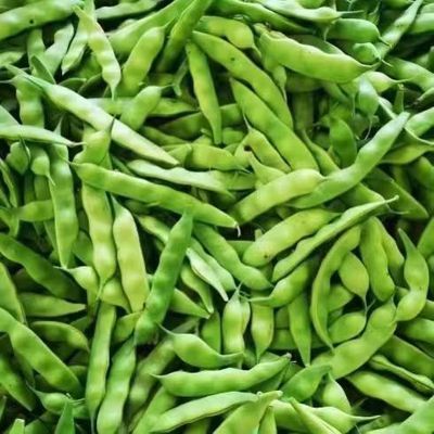 自家东北九月青豆角正宗嘎嘎好吃东北油豆角残次蔬菜微瑕