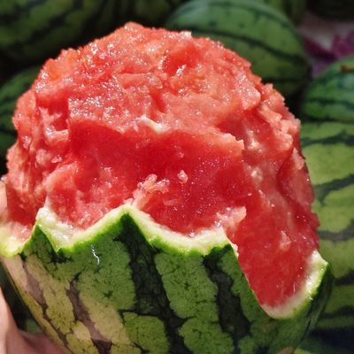 糖丸西瓜正宗应季小吊瓜薄皮批发当季现发非新鲜整箱水果麒麟现摘