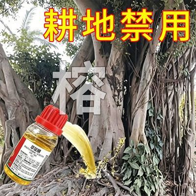 树木通用强效野酸枣刺槐灌木络石藤葛藤爬山虎拉拉秧强渗透草铵膦优惠券