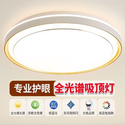 广东中山厂家直销卧室吸顶灯客厅灯现代房间阳台书房灯具工程批发