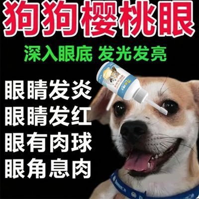 宠物眼角肉疙瘩眼部息肉樱桃眼红眼眼睛红肿狗狗滴眼液猫狗通用